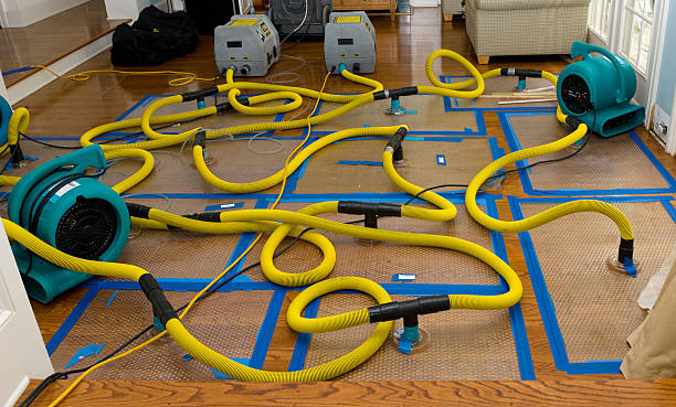 Professional Storm Water Damage Restoration technician working in Delta, AL