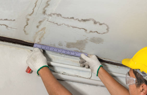 Affordable Water Damage Repair solutions in Delta, AL